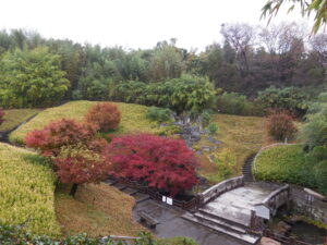 開園のお知らせ