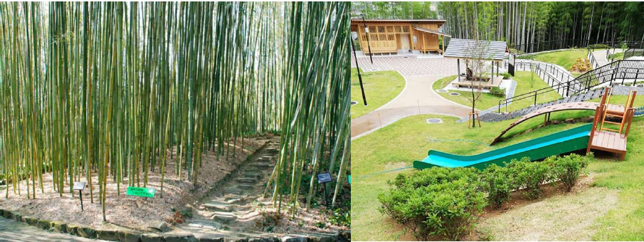 洛西ニュータウン東緑地について